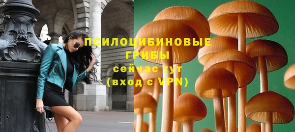 синтетический гашиш Арсеньев