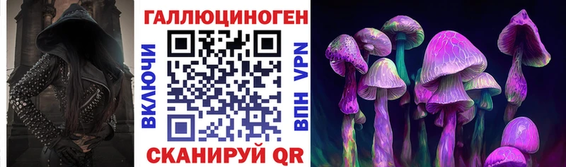 это какой сайт  Приволжск  Псилоцибиновые грибы Psilocybe  продажа наркотиков 